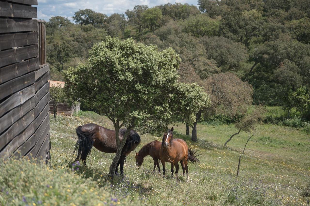 Monte Gois Country House E Spa Curvatos Dış mekan fotoğraf