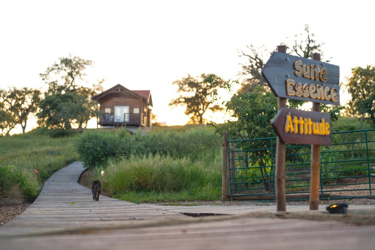Monte Gois Country House E Spa Curvatos Dış mekan fotoğraf