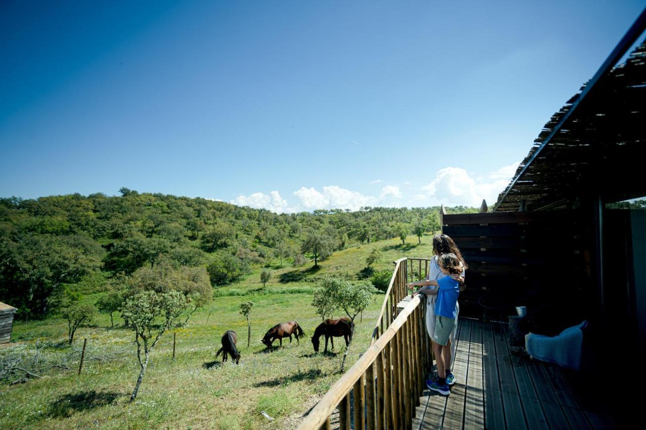 Monte Gois Country House E Spa Curvatos Dış mekan fotoğraf