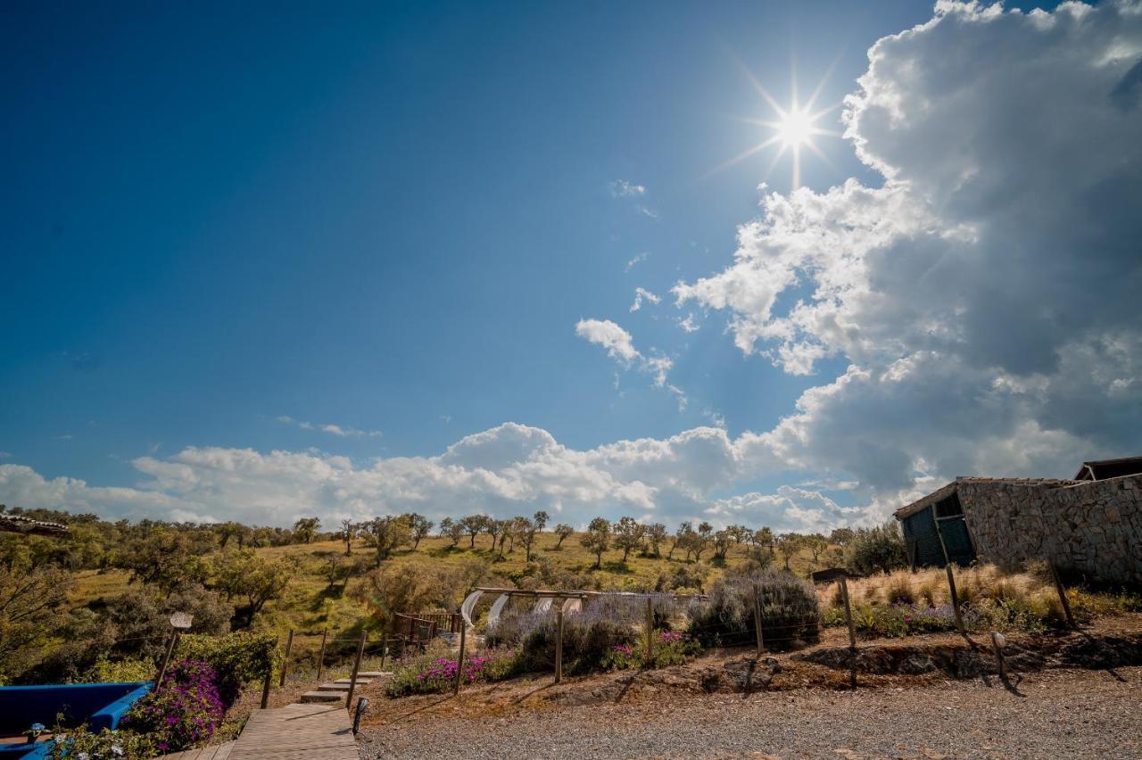 Monte Gois Country House E Spa Curvatos Dış mekan fotoğraf