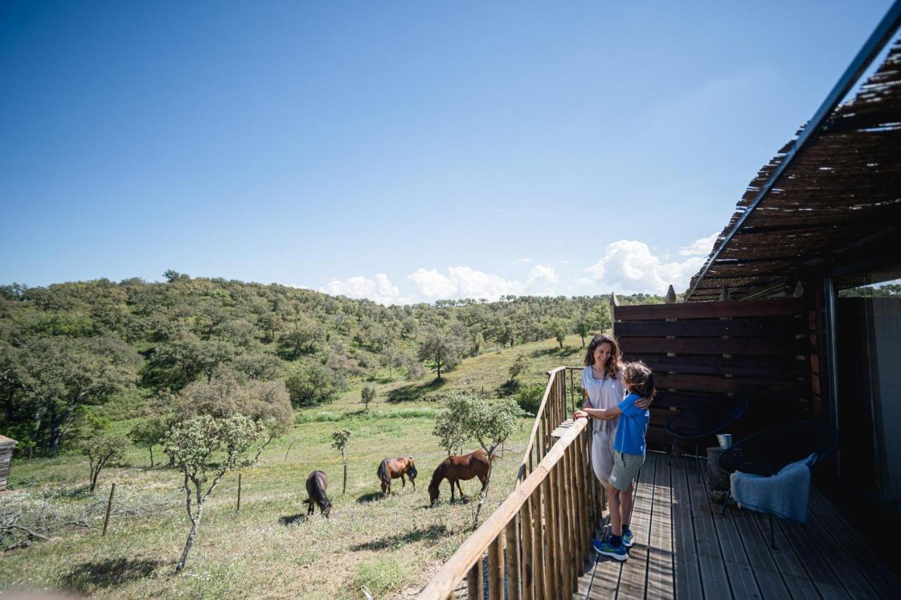 Monte Gois Country House E Spa Curvatos Dış mekan fotoğraf