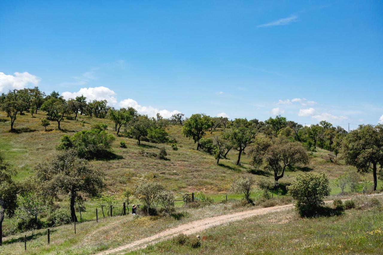 Monte Gois Country House E Spa Curvatos Dış mekan fotoğraf