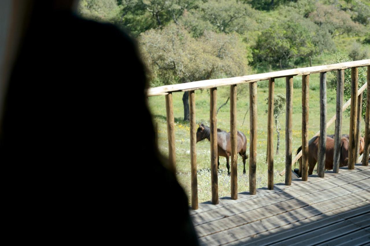 Monte Gois Country House E Spa Curvatos Dış mekan fotoğraf