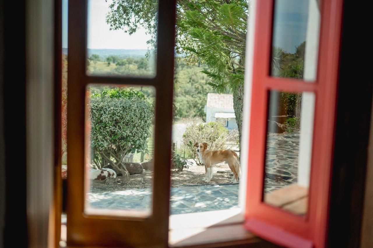 Monte Gois Country House E Spa Curvatos Dış mekan fotoğraf