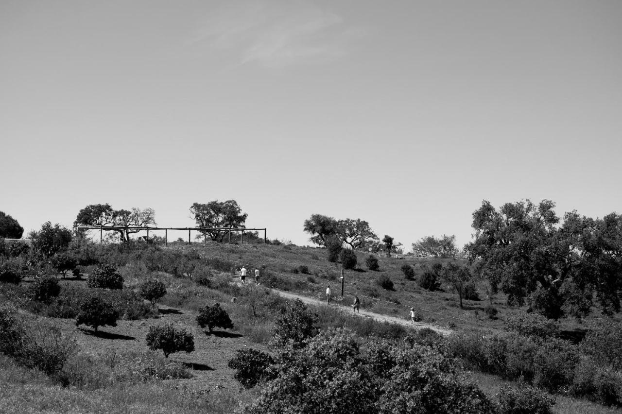 Monte Gois Country House E Spa Curvatos Dış mekan fotoğraf