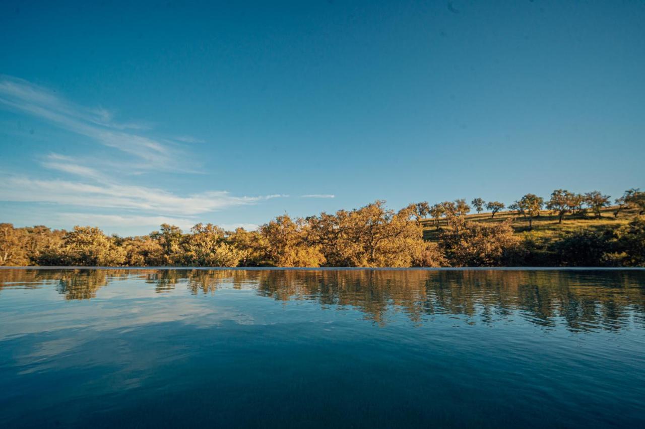 Monte Gois Country House E Spa Curvatos Dış mekan fotoğraf